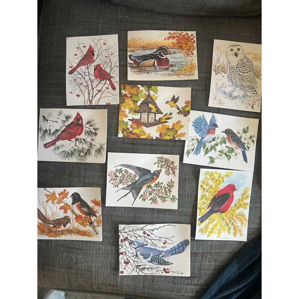 Beautiful Vintage John F. Cornacchia Bird Wildlife Watercolor Note Card Set